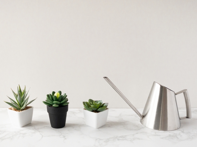 多肉植物とじょうろ