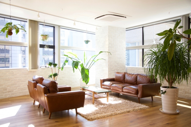 緑のあるおしゃれな応接間