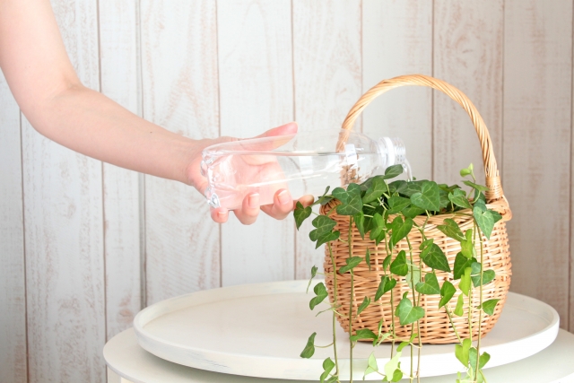ペットボトルでの水やり