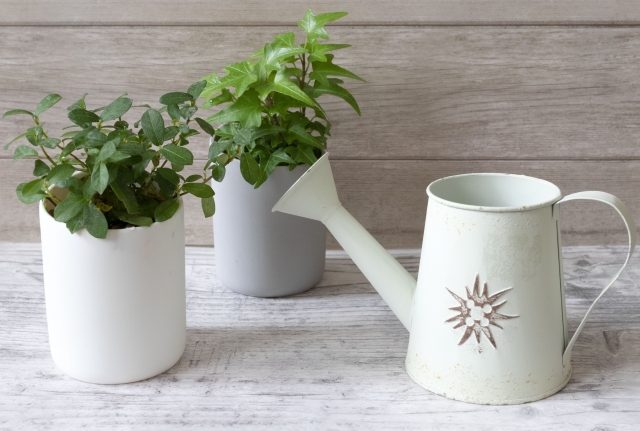 じょうろとグリーン